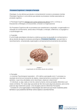 Cópia De ML- 2ª Frequência - Processos Cognitivos II - Memória E ...