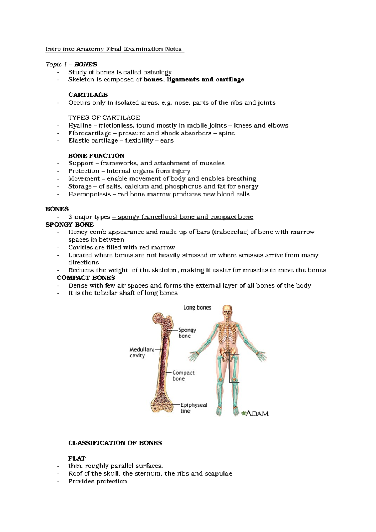 Bones - Summary Introduction To Anatomy - Intro into Anatomy Final ...