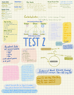 Human Nutrition Exam 1 (Chapters 1,2,4,5,6) Flashcards Quizlet - Human ...