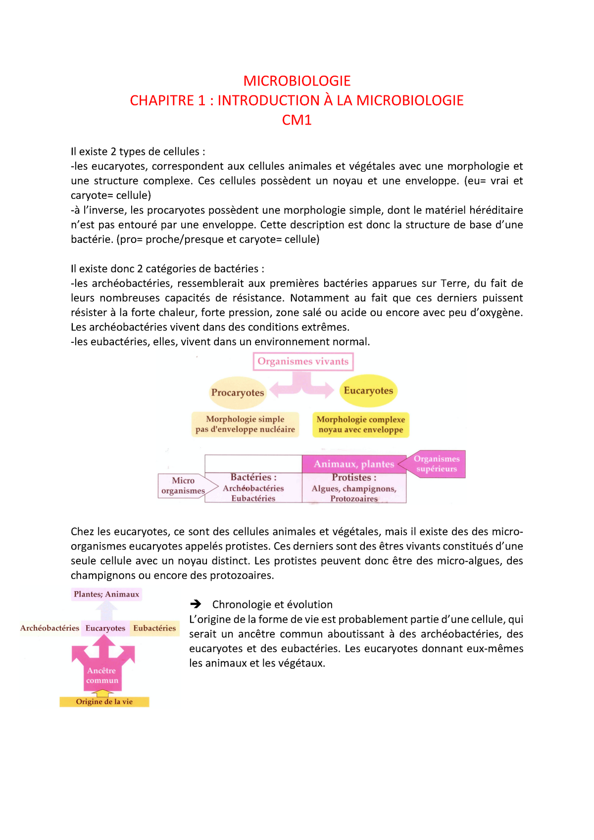 Microbiologie CM1 - L2 CB-SVT S3 - MICROBIOLOGIE CHAPITRE 1 ...