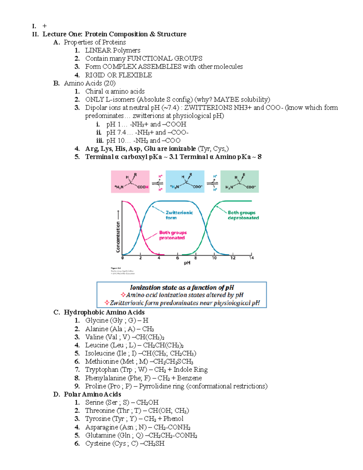 Biochemistry Outline Exam 1 I. + II. Lecture One Protein Composition & Structure A. Studocu