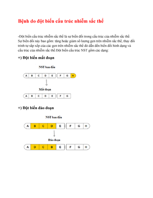 written assignment science computer matriculation