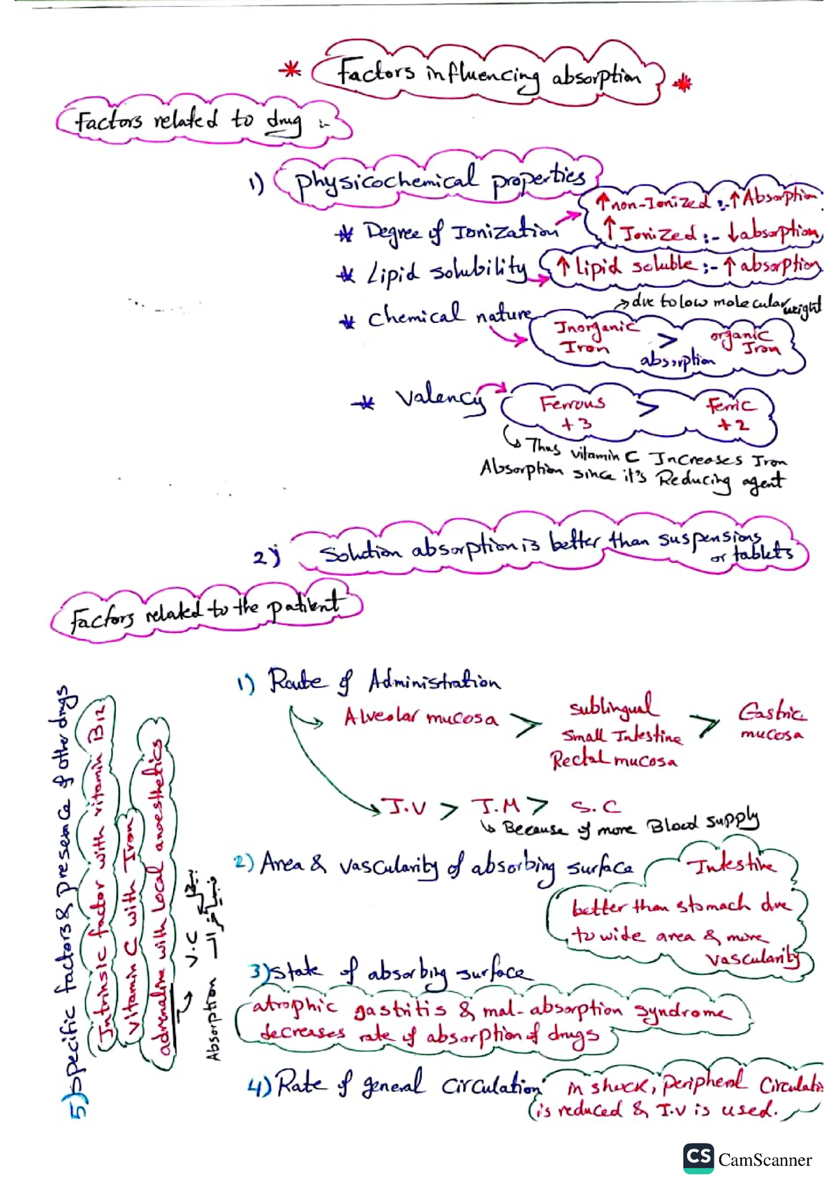 pharmacology nursing essay