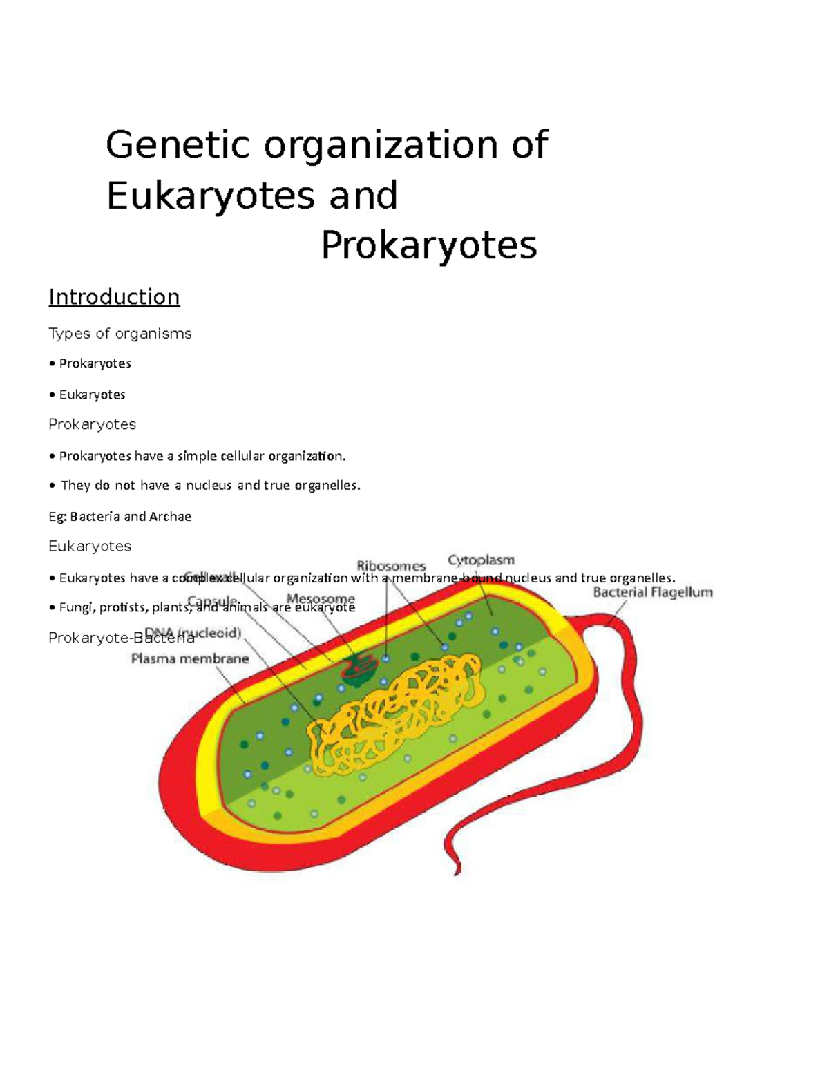 Chapter 2 organization of Eukaryotes and Prokaryotes 1