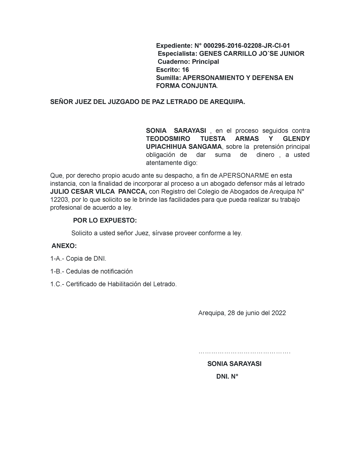 Apersonamiento y defensa conjunta - Expediente: N° 000295-2016-02208-JR ...