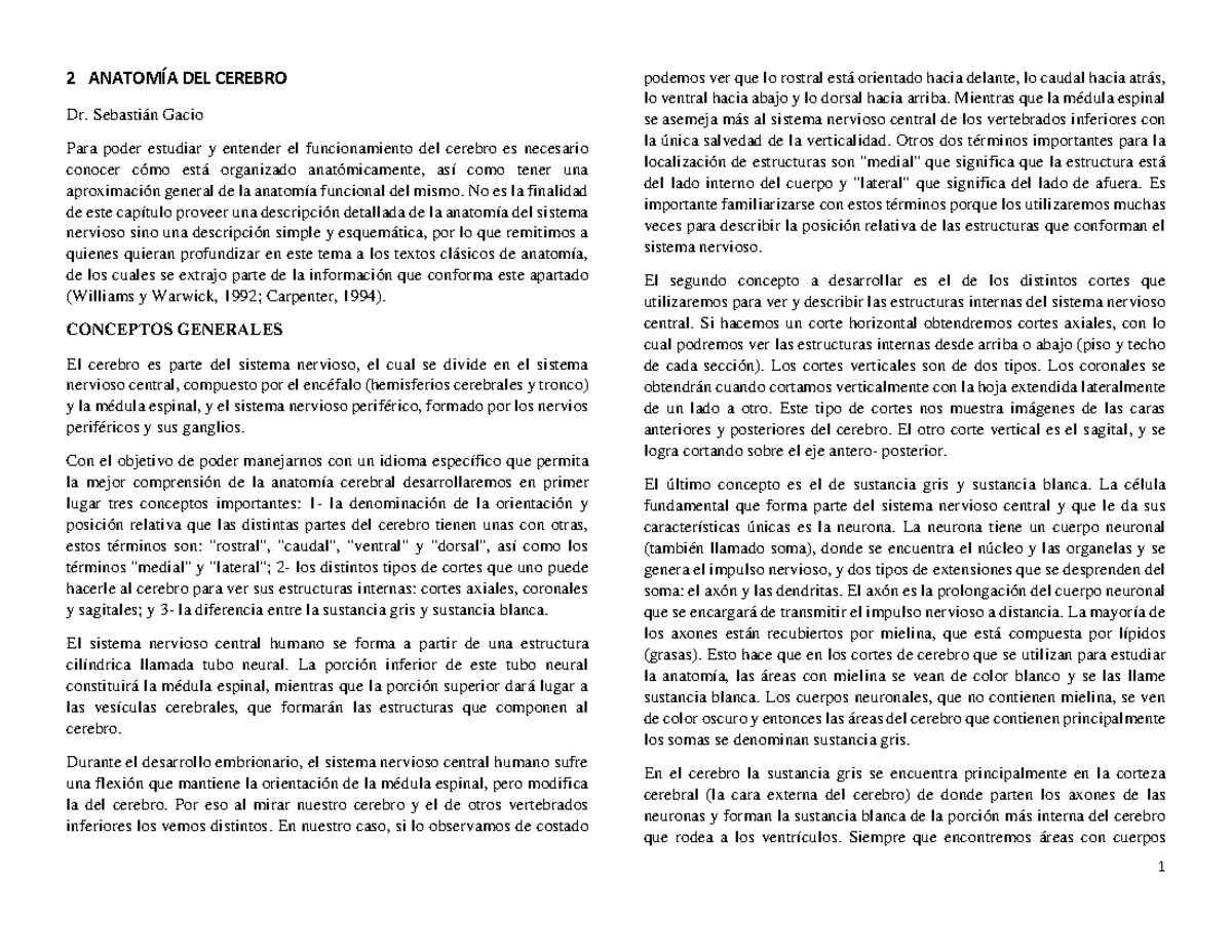 Pa Ra Los Examnes Para Darte Una Pintada De Lo Que Es Neurogod Y La