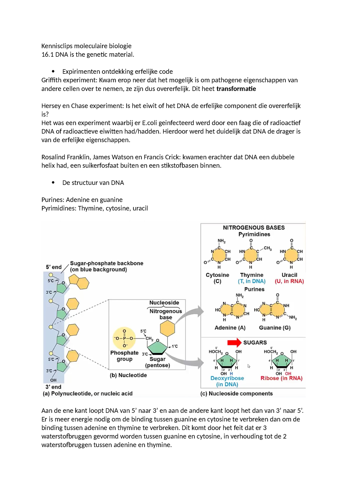 Kennisclips Moleculaire Biologie - Expirimenten Ontdekking Erfelijke ...