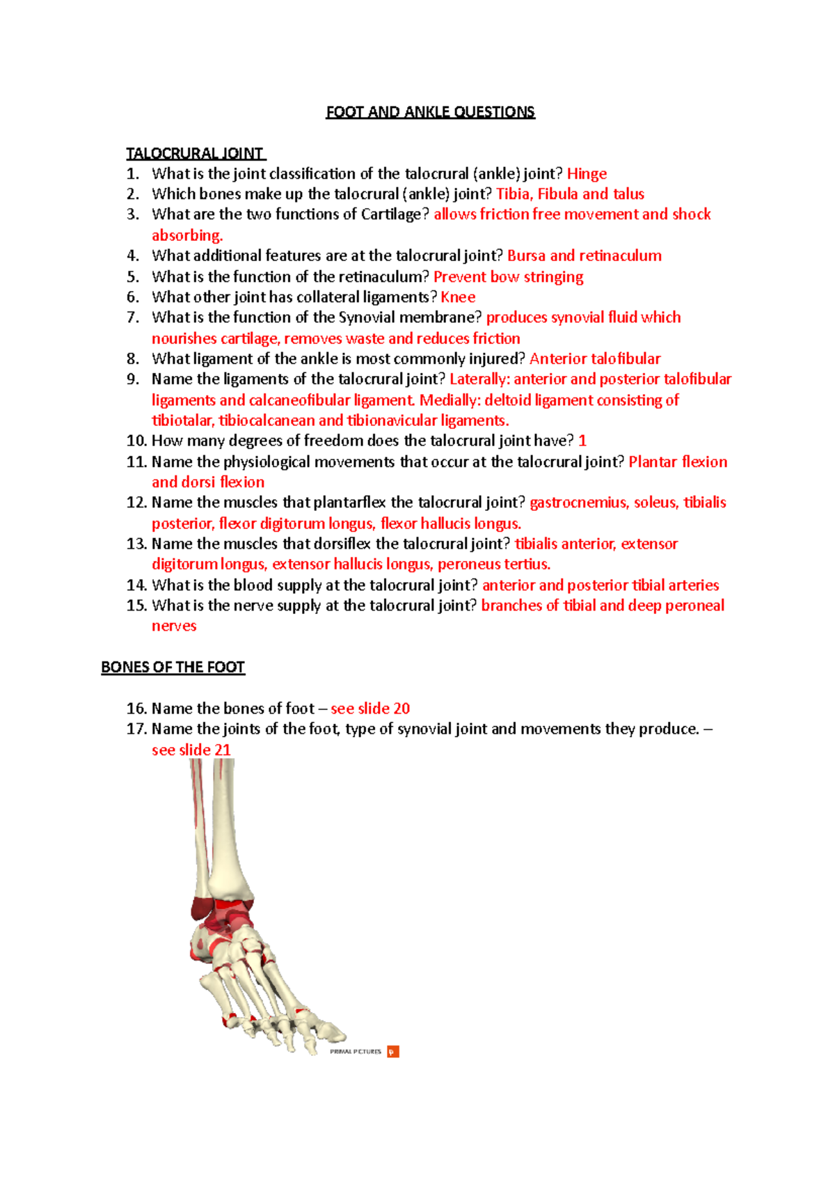 Foot and Ankle Questions and Answers FOOT AND ANKLE QUESTIONS TALOCRURAL JOINT What is the