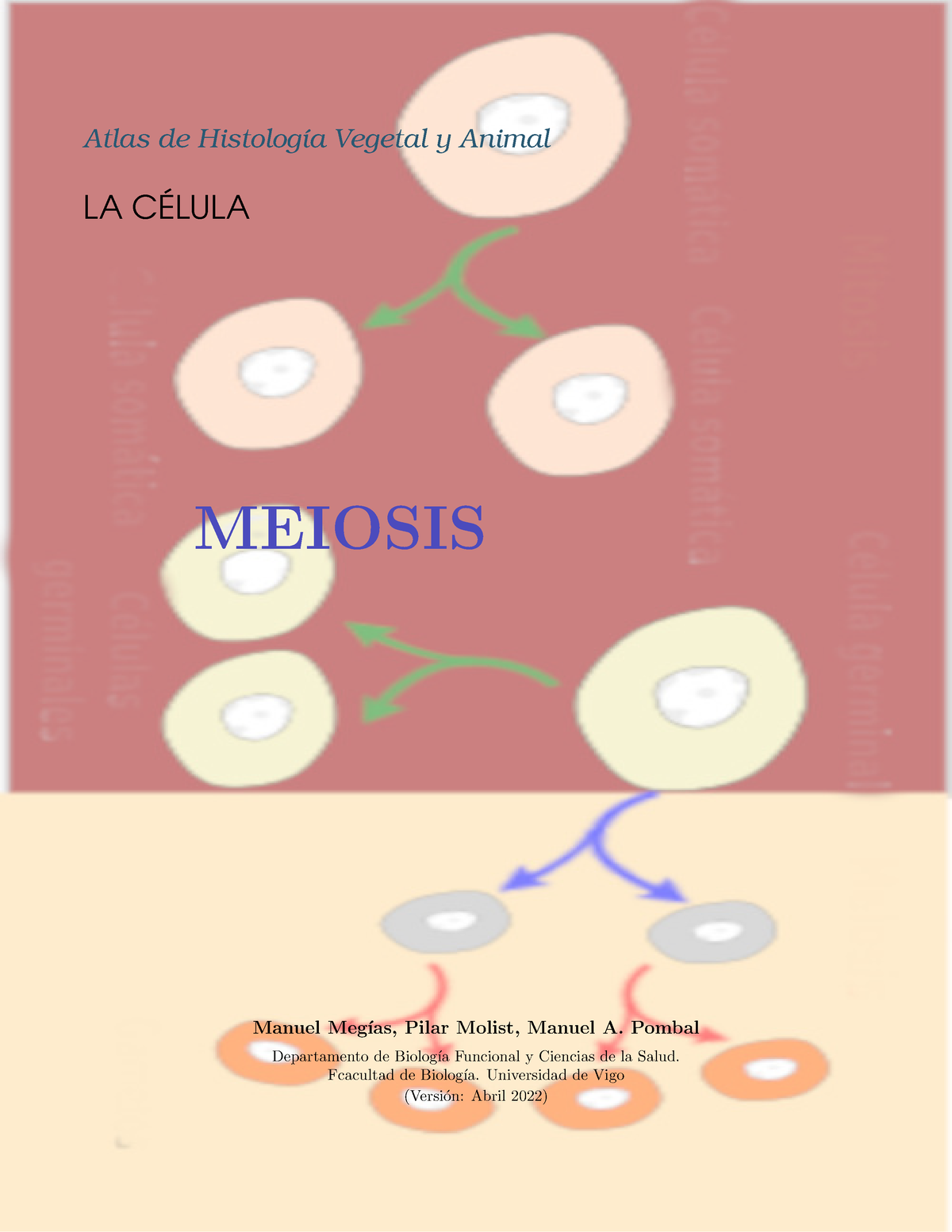 Atlas Celula 09 Meiosis - Atlas De Histolog ́ıa Vegetal Y Animal LA C ...