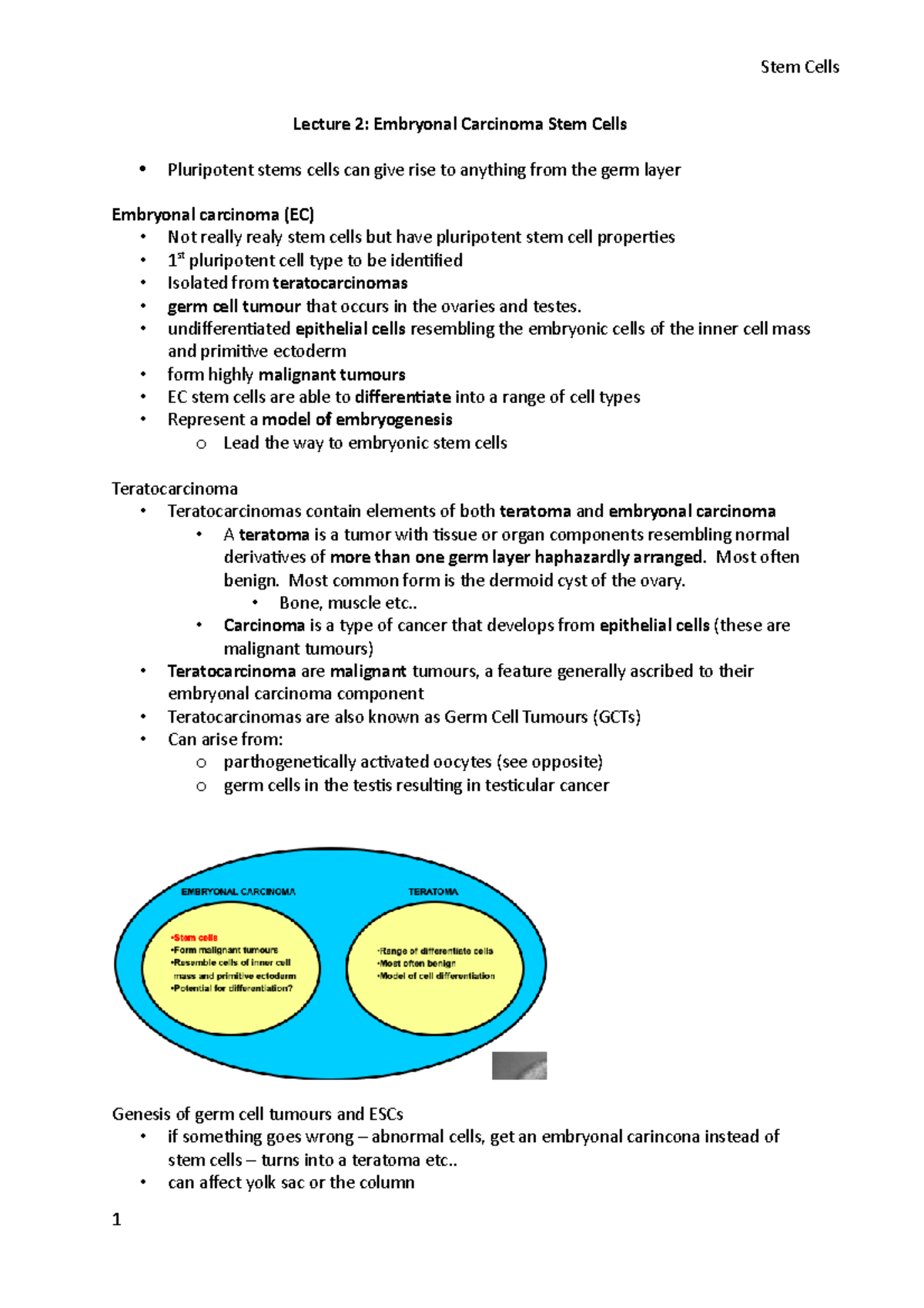 Stem Cells L2 - Lecture notes 2 - Lecture 2: Embryonal Carcinoma Stem ...