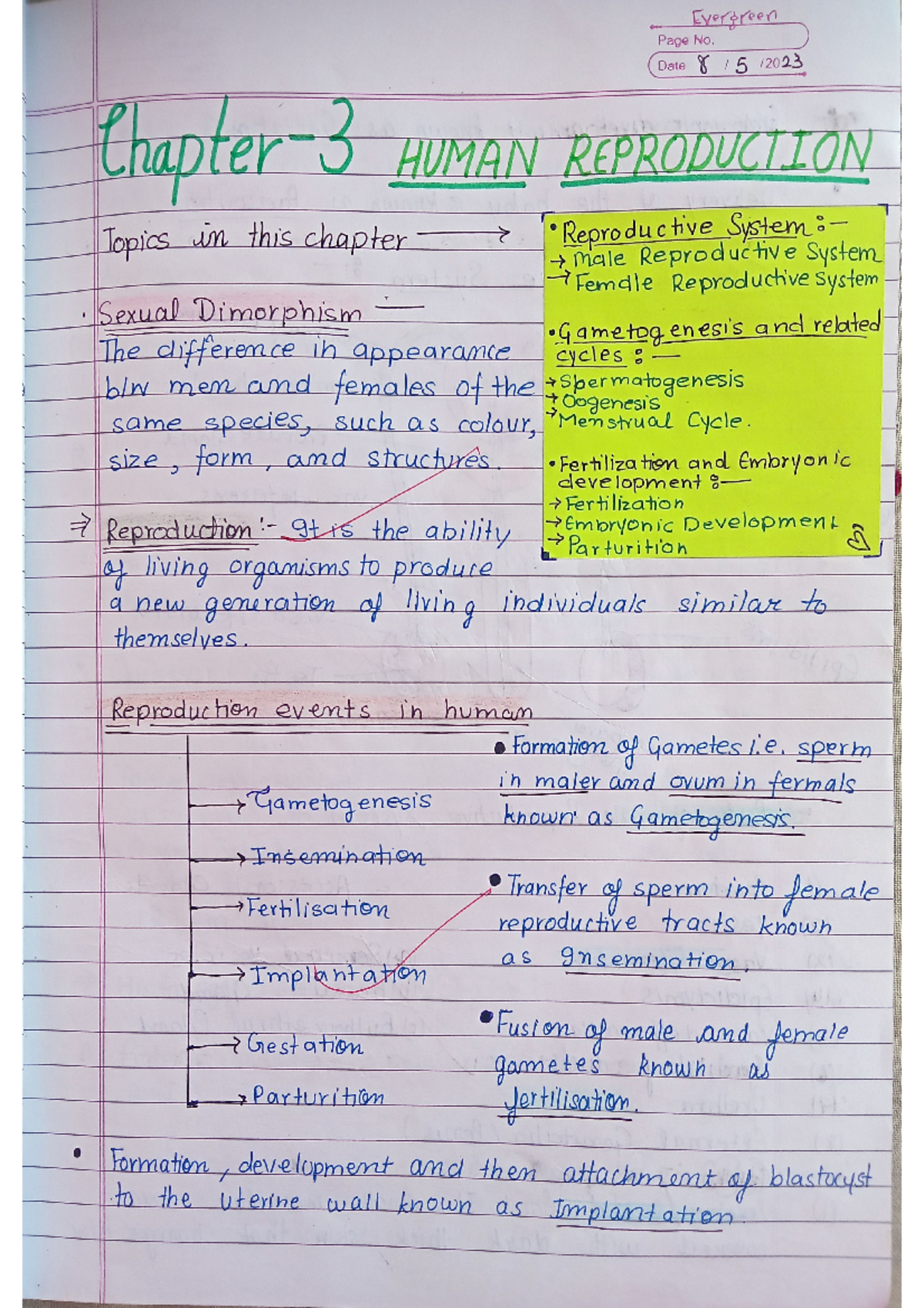 Chapter 2 human reproduction - Evergreen Page No. Date 8 5 2023 Chapter ...