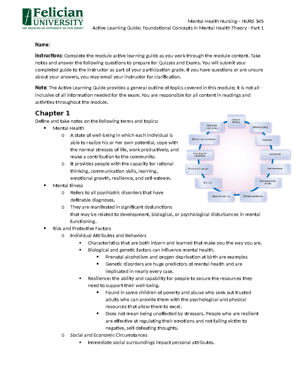 1 Active Learning Guide Foundational Concepts In Mental Health Theory ...