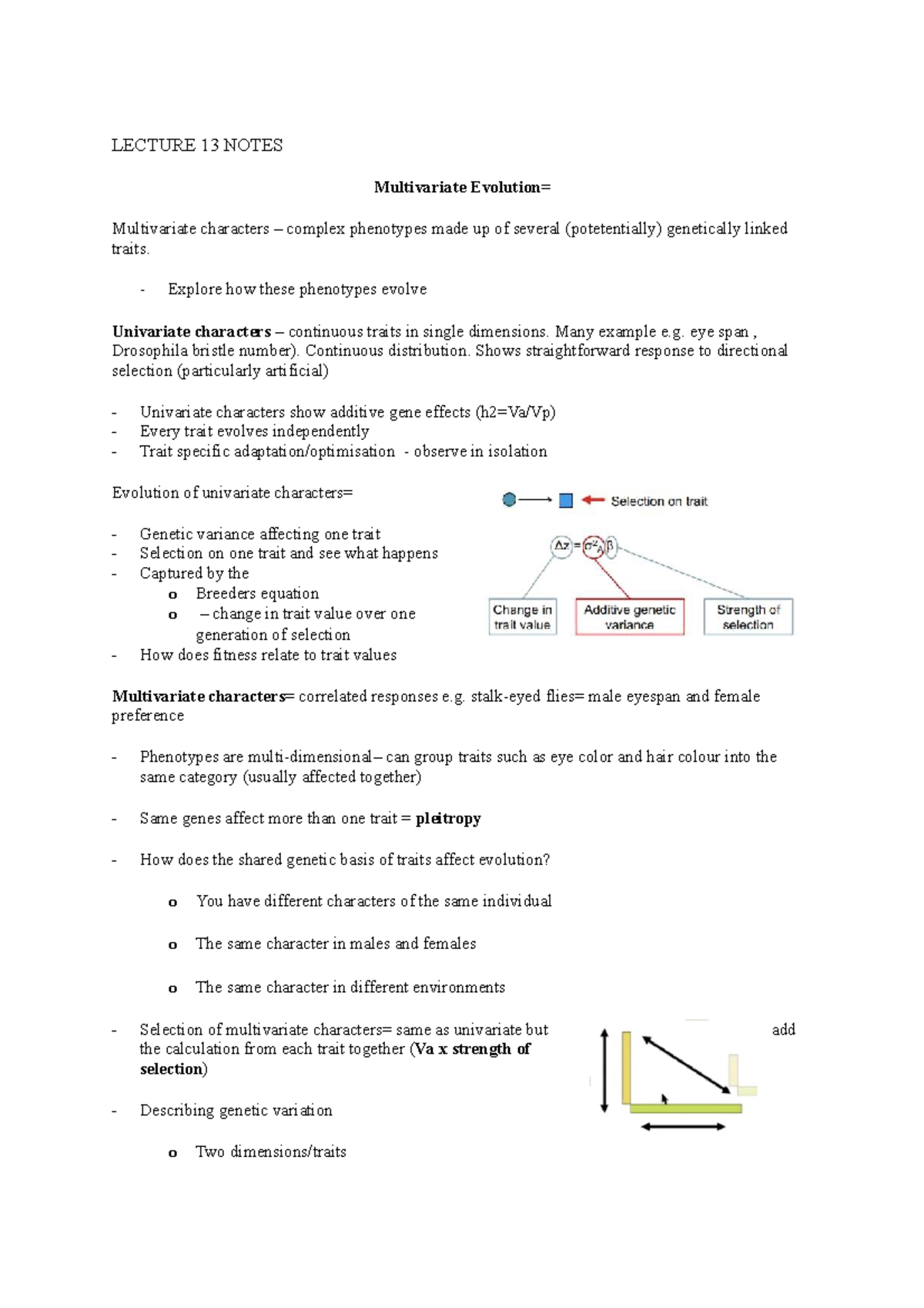 Lecture 13 Notes - LECTURE 13 NOTES Multivariate Evolution ...