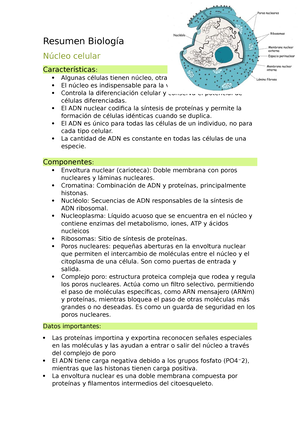 Gu%C3%ADa+de+estudio+preparaci%C3%B3n+evaluaci%C3%B3n+regular+3 - Dr ...