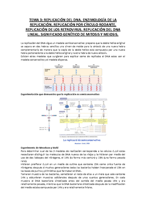 TEMA 3 - Carlos Juan - Warning: TT: undefined function: 32 Warning: TT:  undefined function: 32 TEMA - Studocu