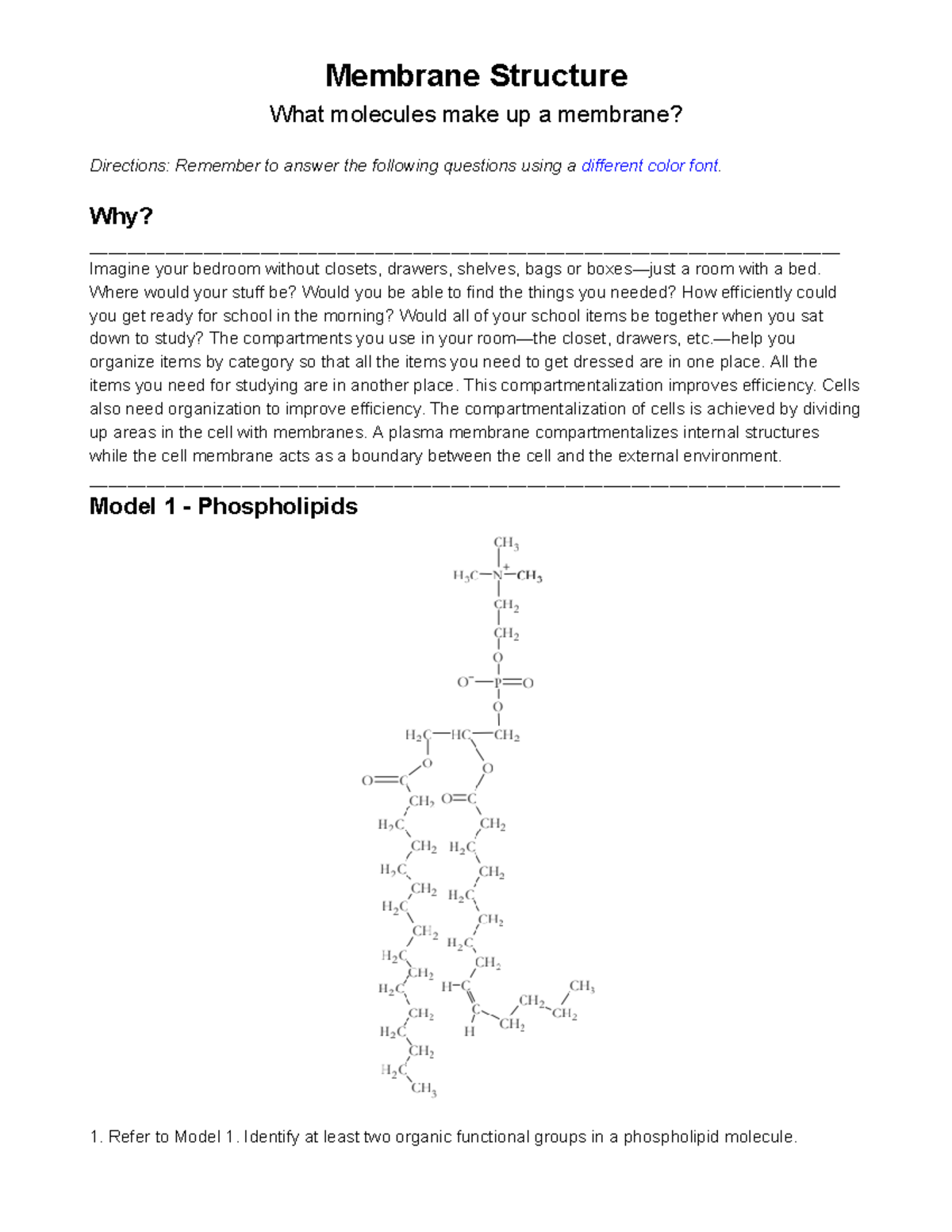 4 Pogil Membrane Structure - Membrane Structure What Molecules Make Up ...