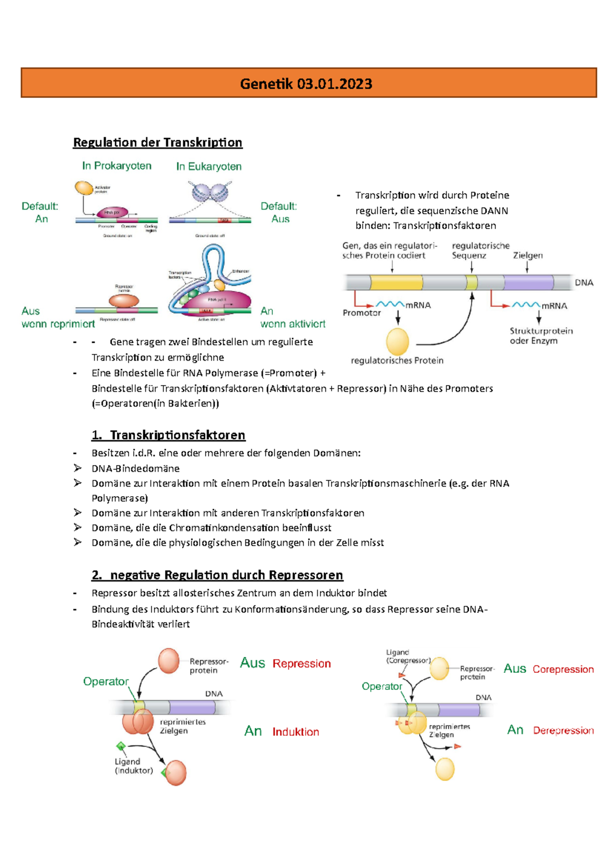 7. 22/23 03. Regulation der Transkription