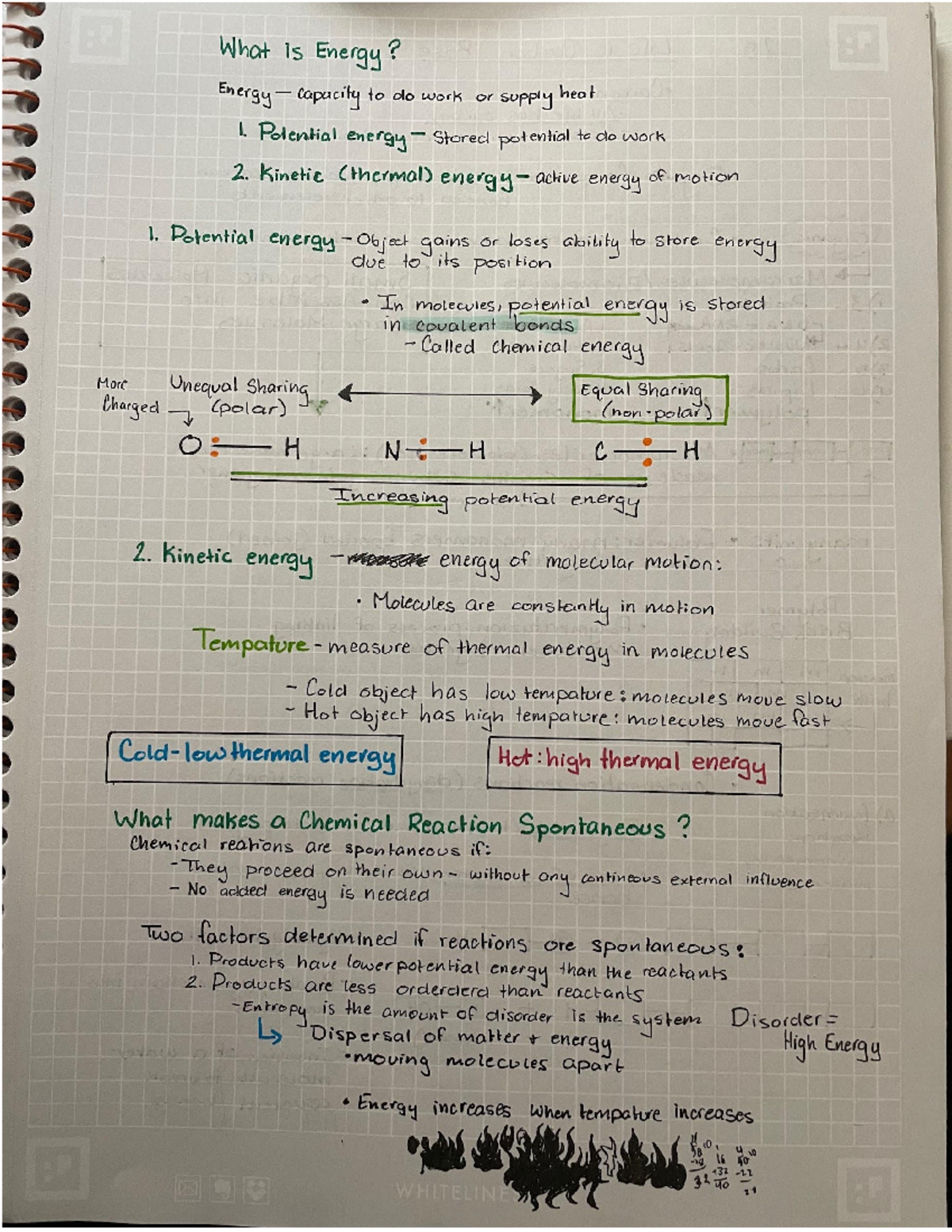 Chapter 2 of Biological Science - Studocu