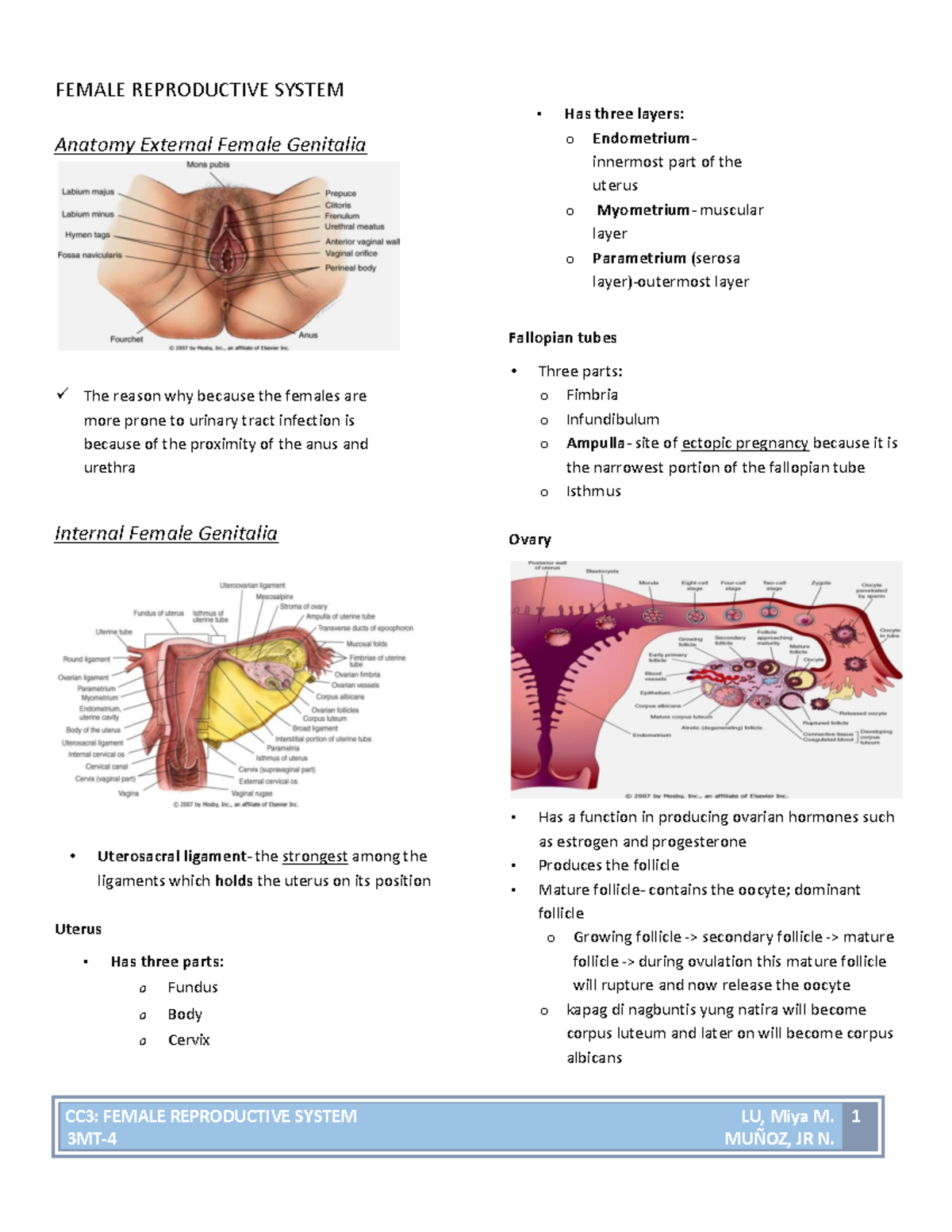 CC3-Female-Repro - summaries - CC3: FEMALE REPRODUCTIVE SYSTEM LU, Miya ...