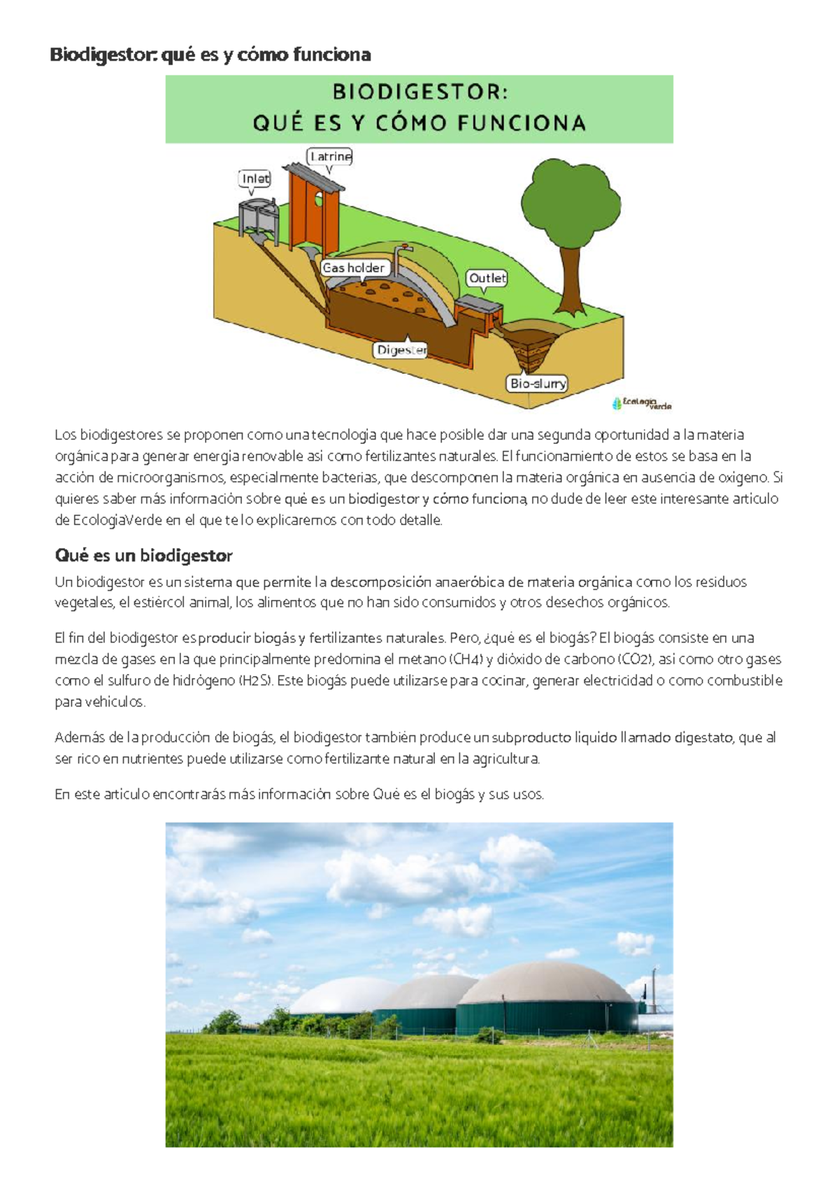 Biodigestor Que Es Y Como Funciona Resumen Forhairstyles Your Style