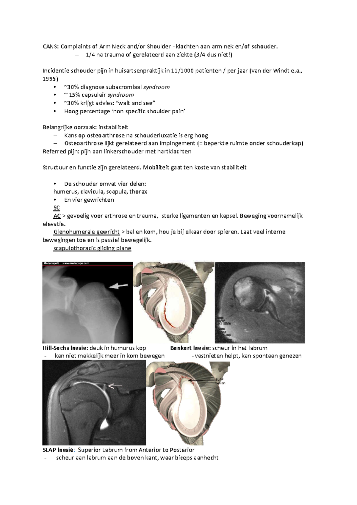 Samenvatting Pathologie Van Het Bewegen: Schouderpijn - CANS ...