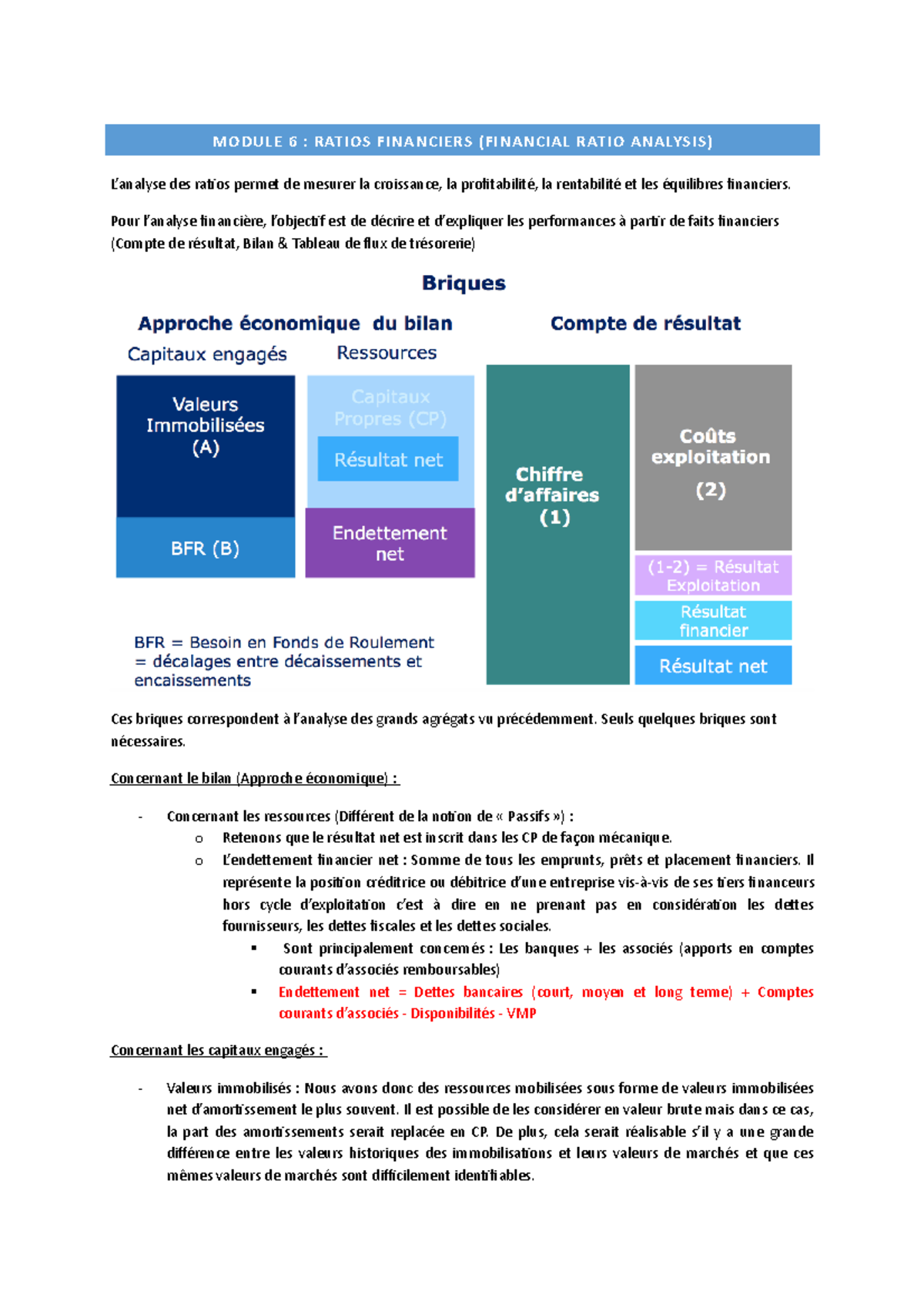 Cours Module 6 - MODULE 6 : RATIOS FINANCIERS (FINANCIAL RATIO ANALYSIS ...