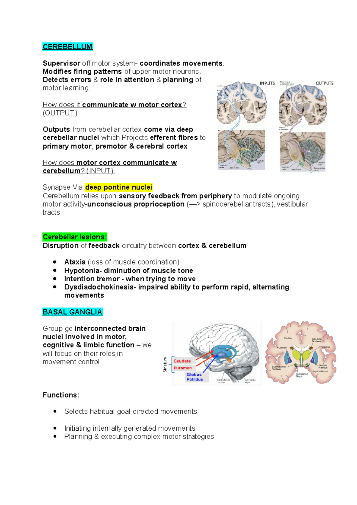 Cerebellum - Lecture Notes Anatomy Notes - Cerebellum Supervisor Off 