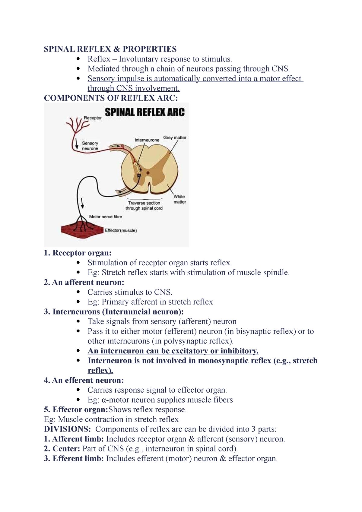 Spinal reflex - SPINAL REFLEX & PROPERTIES Reflex – Involuntary ...