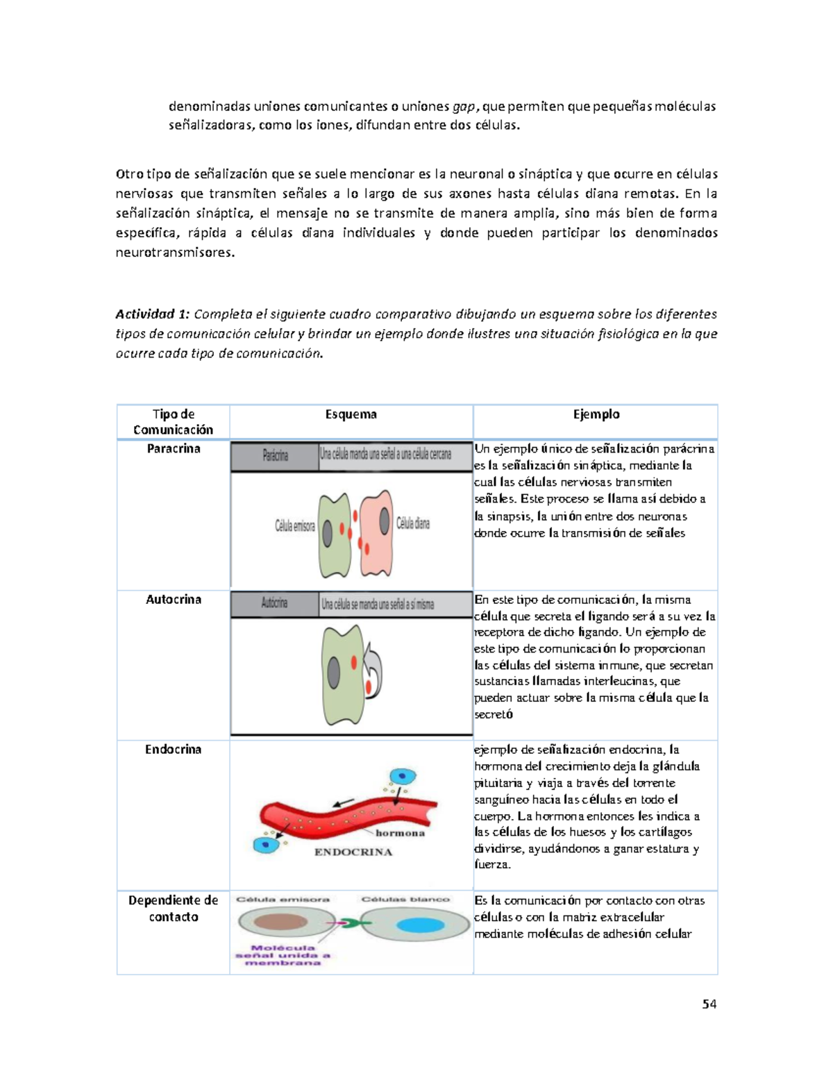 Manual procesos biológicos resuelto completo - denominadas uniones ...