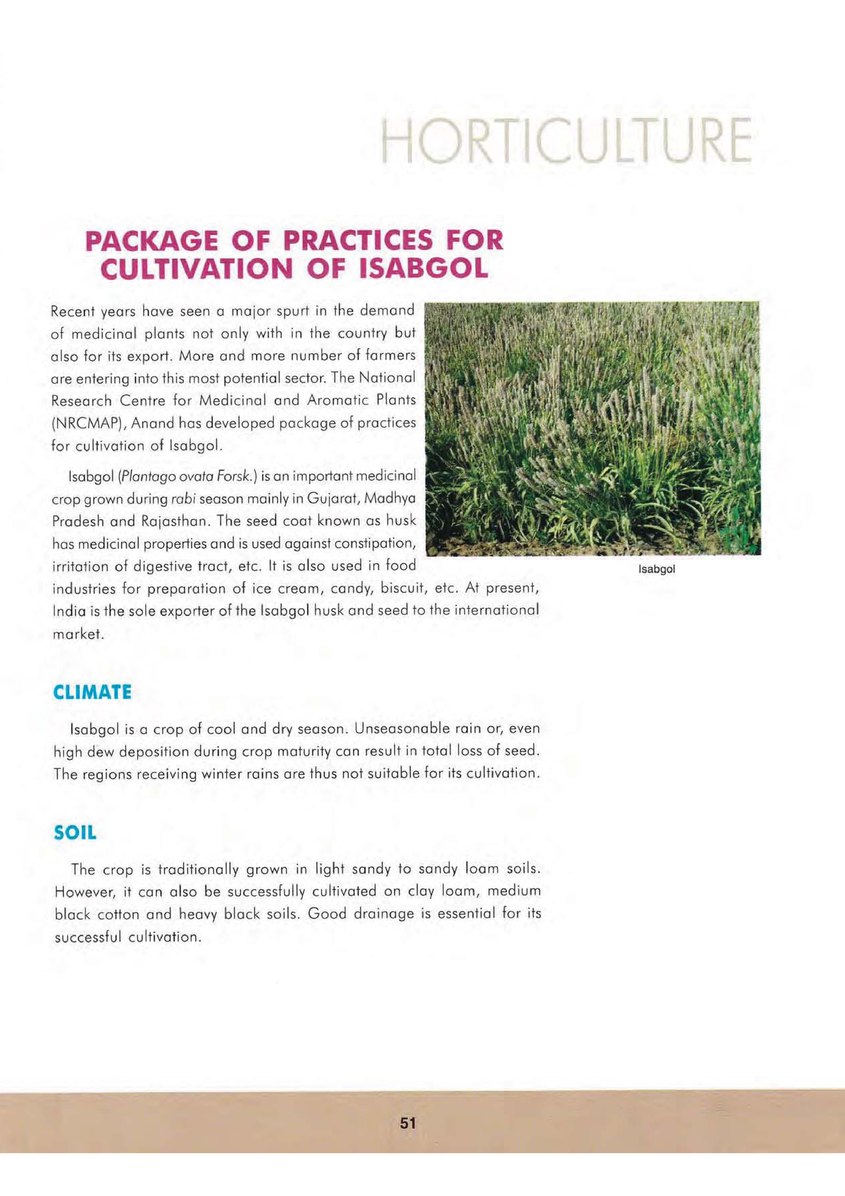 20-horticulture-Package of practices for cultivation of Isabgol ...