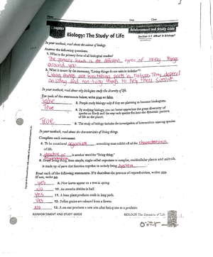 Ws 1-4 - Worksheet - Name Date Class Chapter Reinforcement and Study ...
