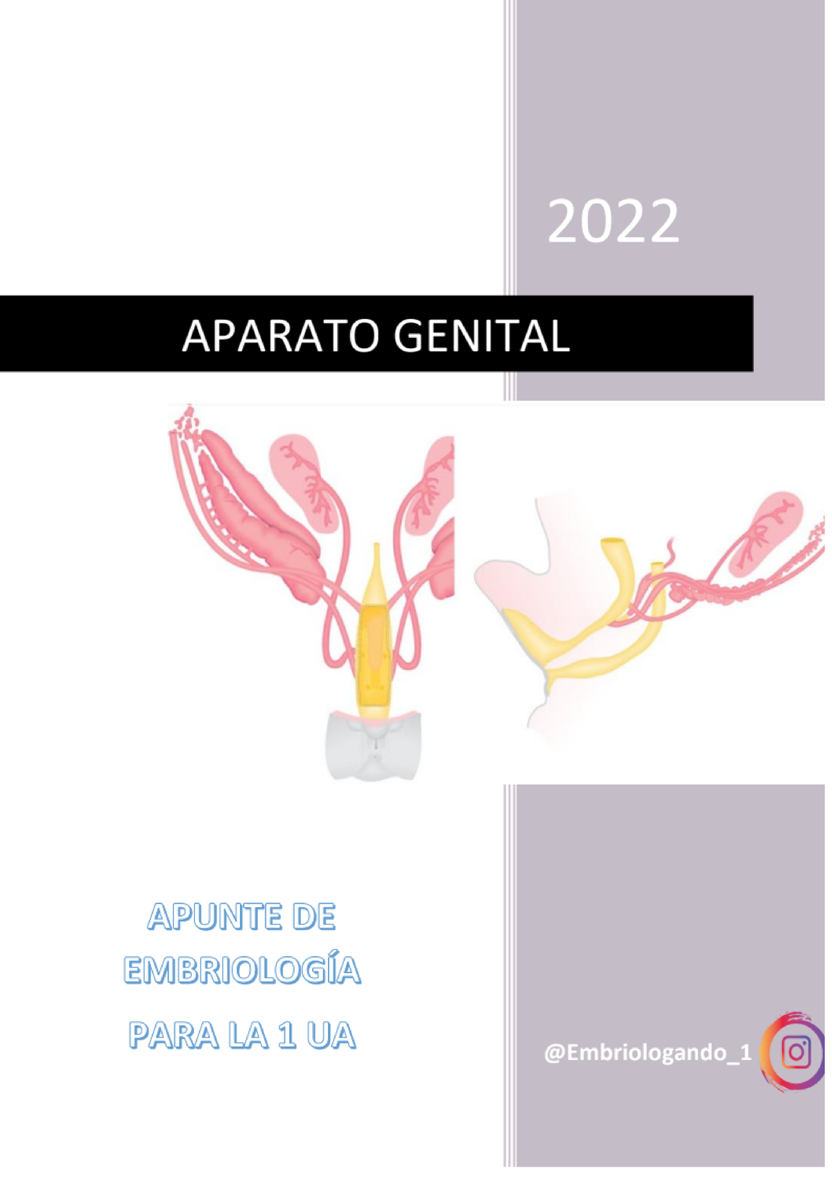 Aparato Genital - 00000 - Psicometricas Mikulick - Studocu