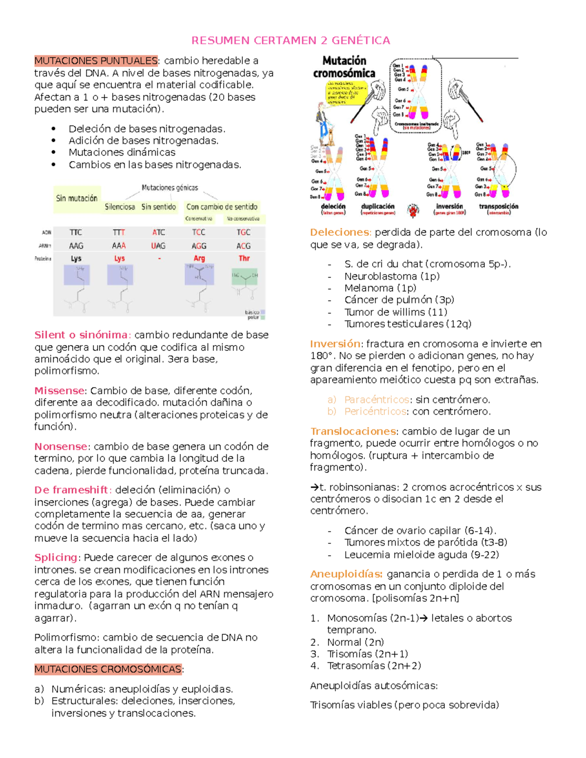 resumen de genética prueba 2 - RESUMEN CERTAMEN 2 GENÉTICA MUTACIONES ...