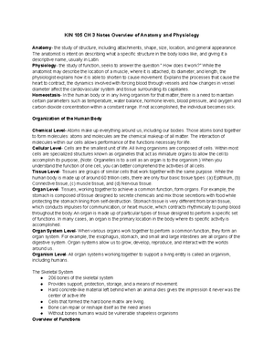 KIN 105 CH 5 Exercise Physiology - KIN 105: CH 5- Exercise Physiology ...