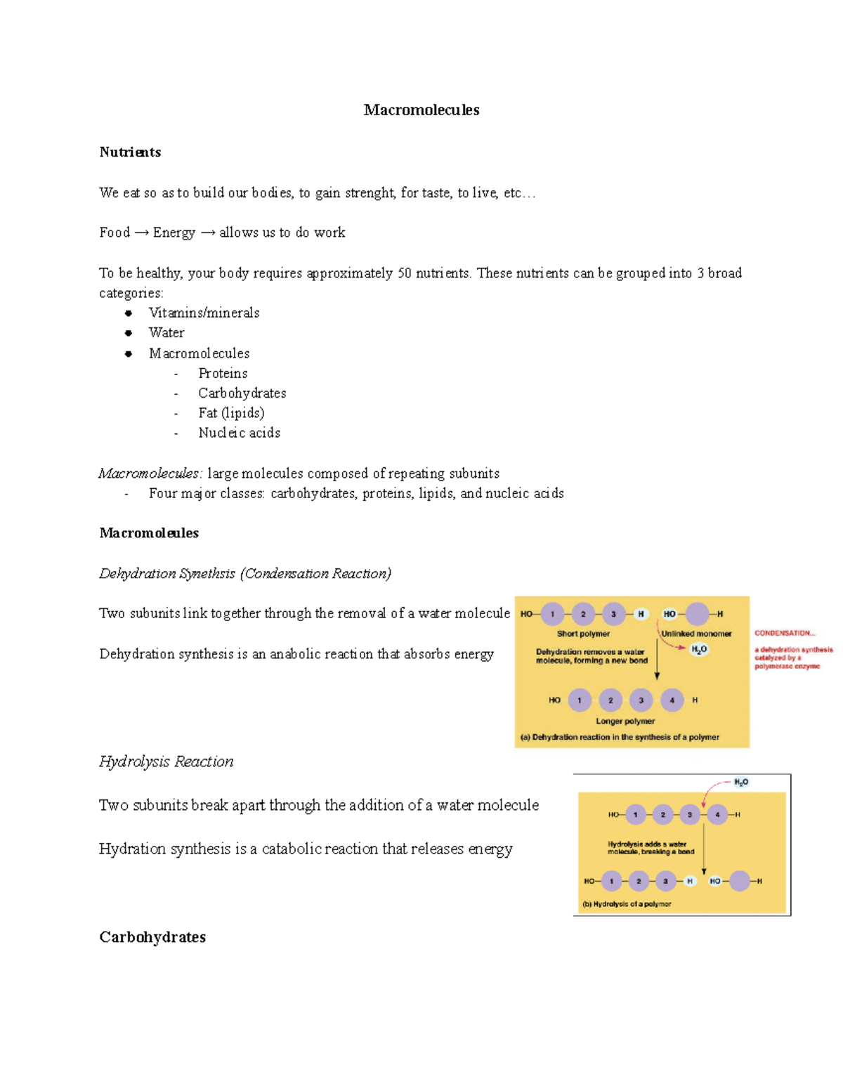 1.3 Macromolecules - The 3rd Note Of The First Unit - Biochemistry ...