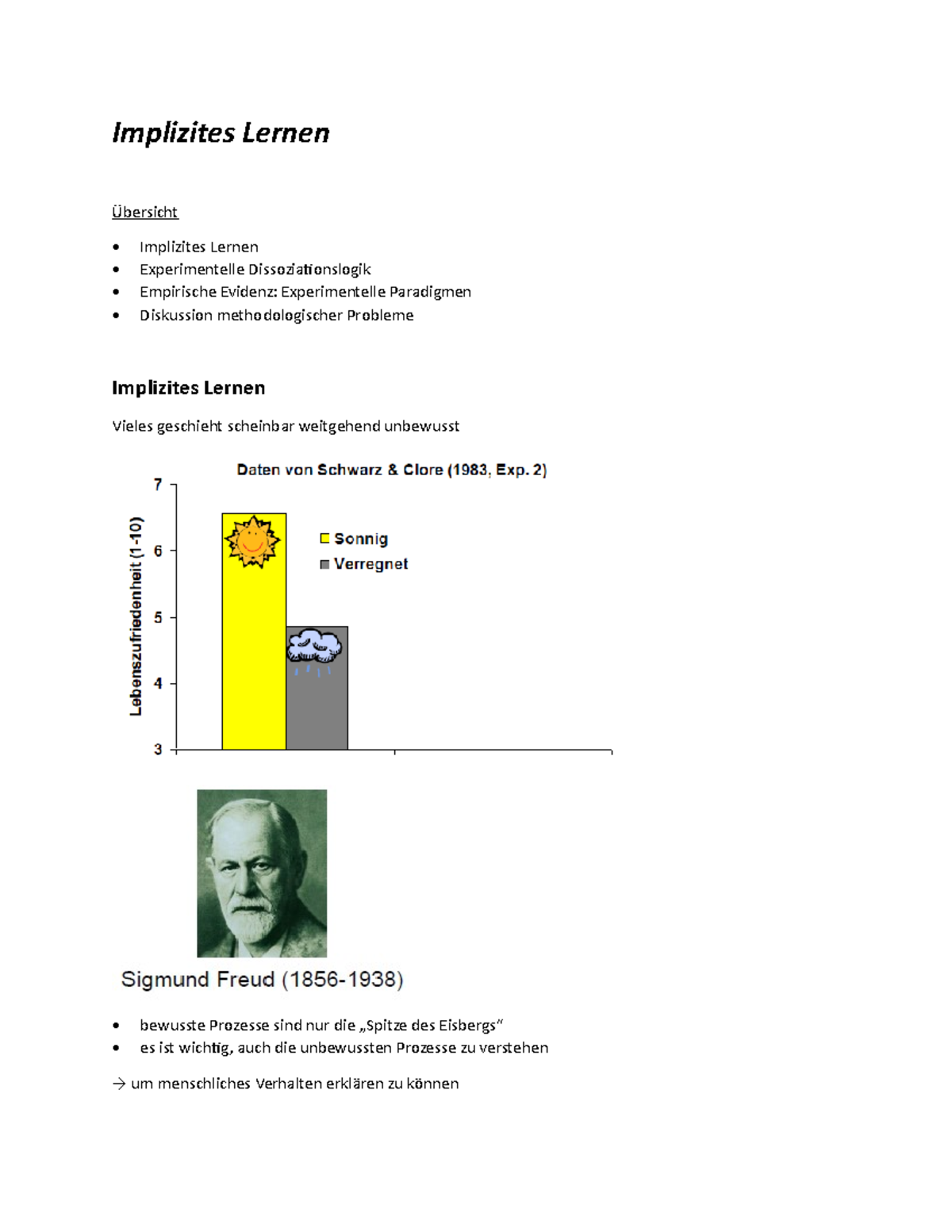 6 - Implizites Lernen - Das sind die Vorlesungsfolien, aber in Word-Dokument (systematisiert ...
