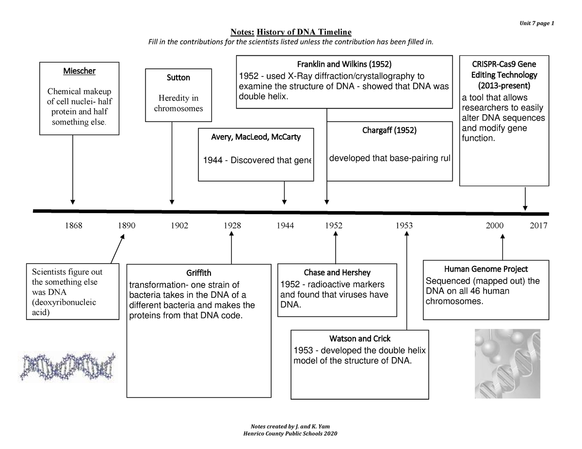 Bio Unit 7 - DNA History-Structure-Rep - Notes: History of DNA Timeline ...