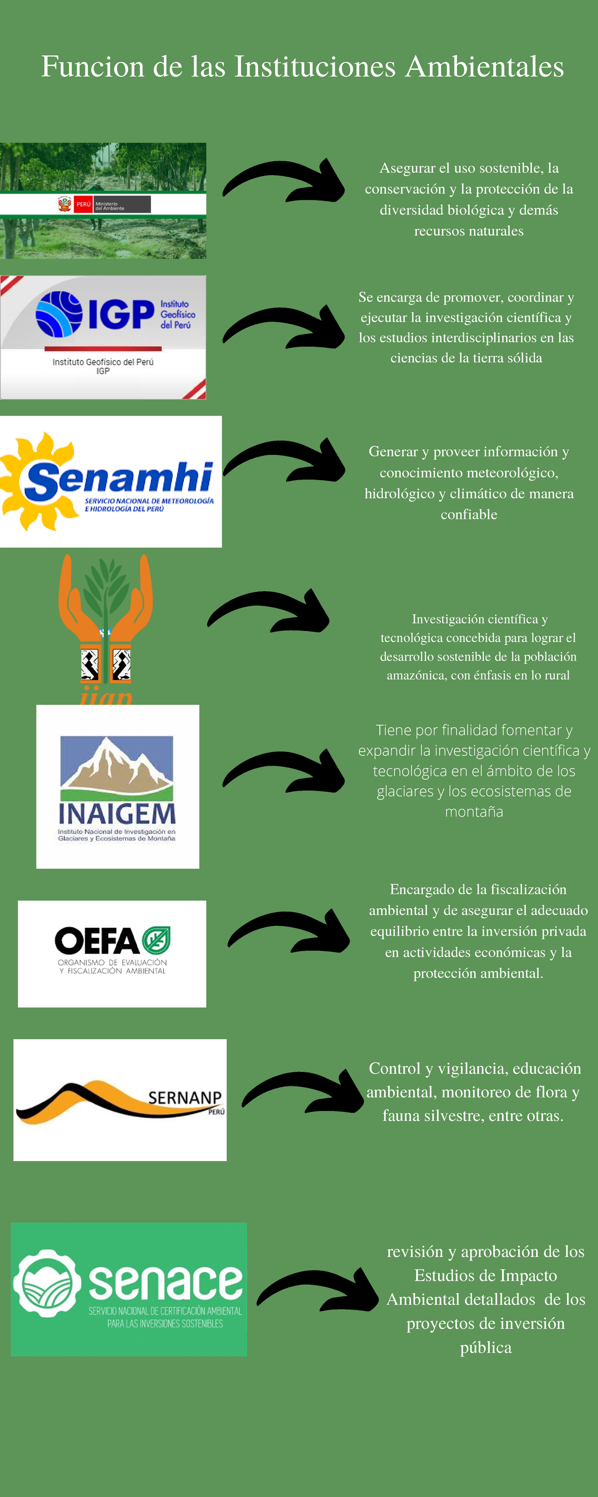 Funcion de las Instituciones Ambientales - Funcion de las Instituciones