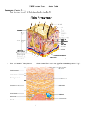 BIOL 2401 Anatomy and Physiology I - CTC - StuDocu