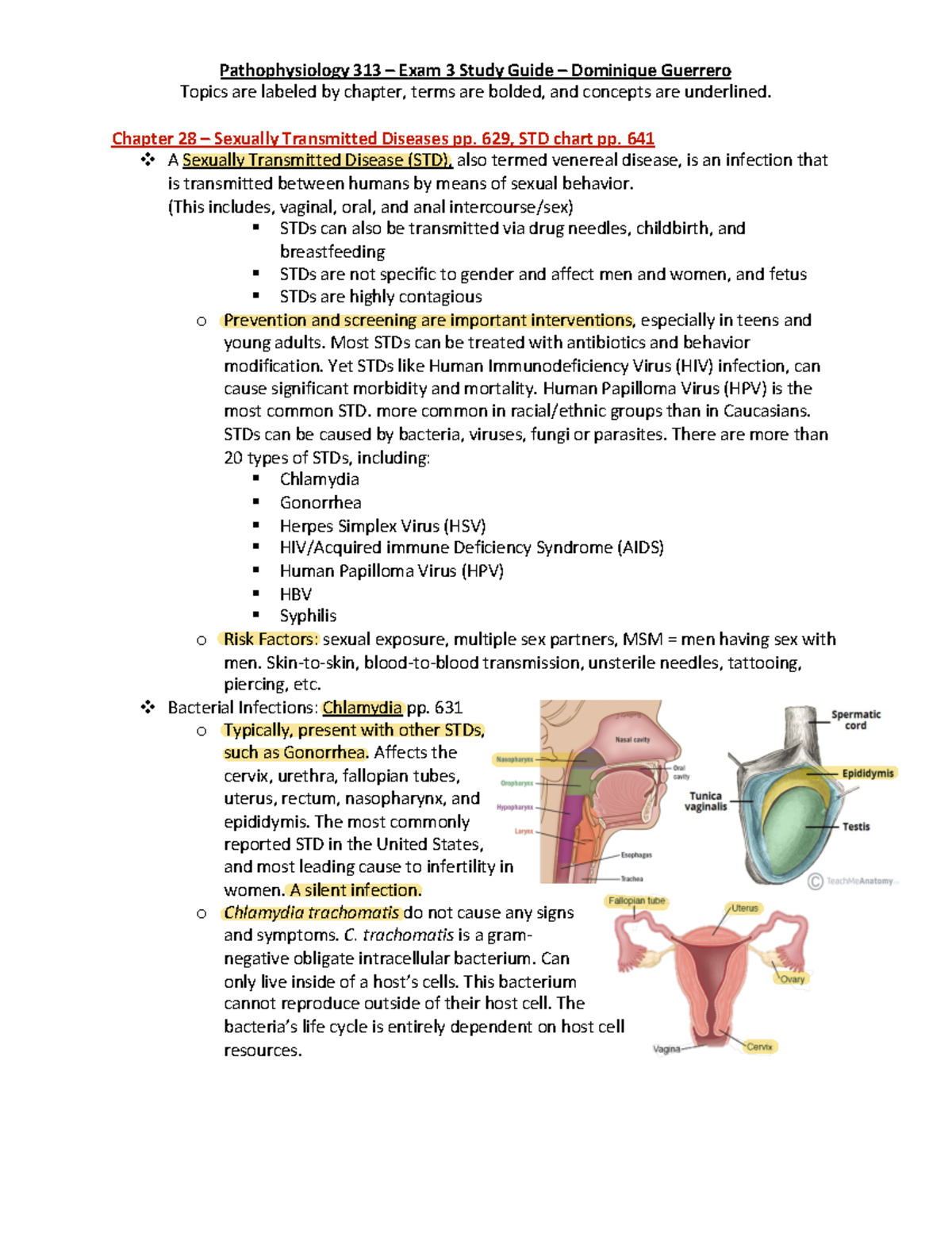 Exam 3 Study Guide with Pics - Topics are labeled by chapter, terms are ...