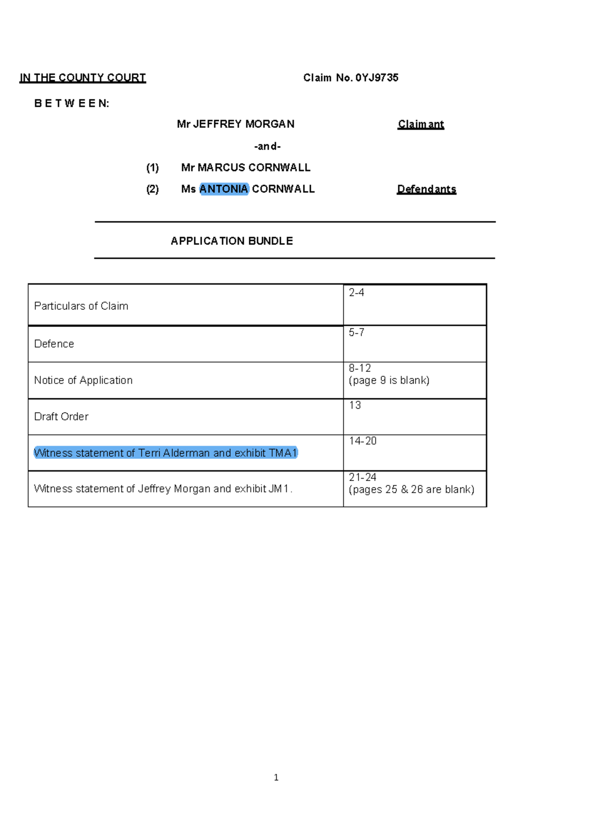 application-bundle-morgan-v-cornwall-case-in-the-county-court-claim
