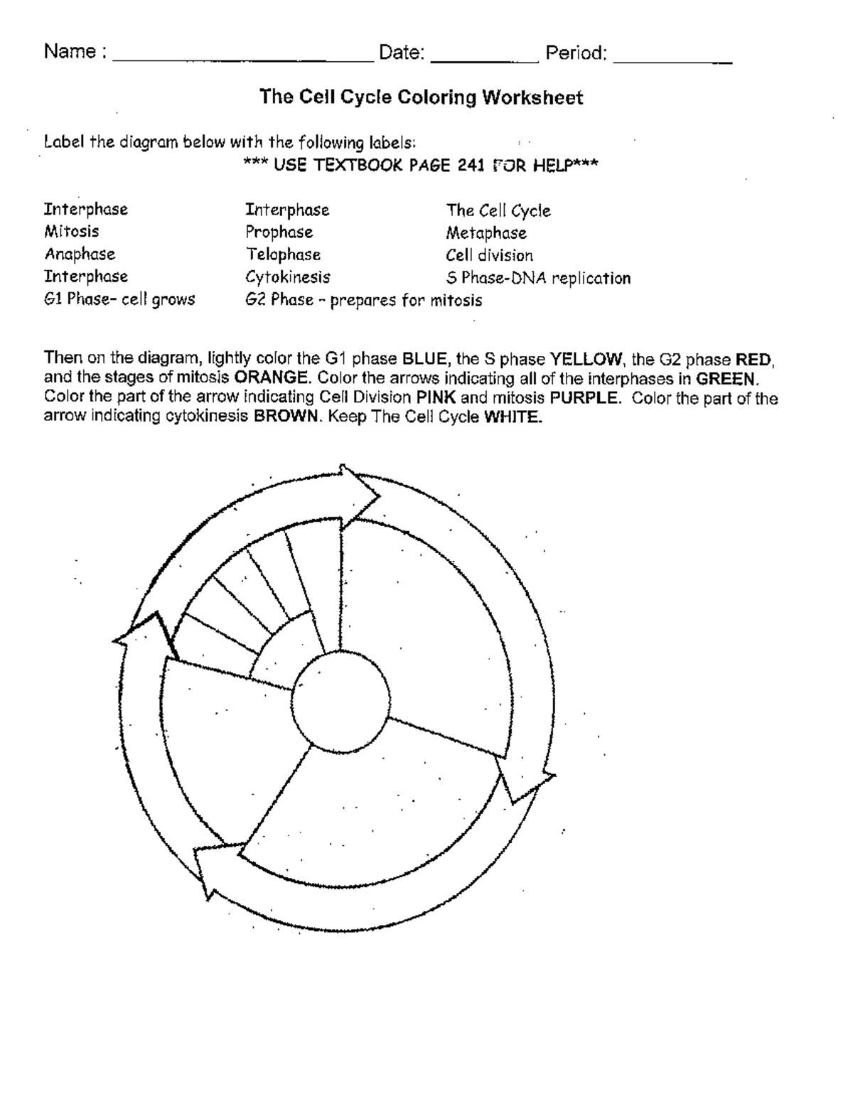 Cell Cycle Coloring Worksheet - StuDocu With Regard To Cell Cycle Coloring Worksheet