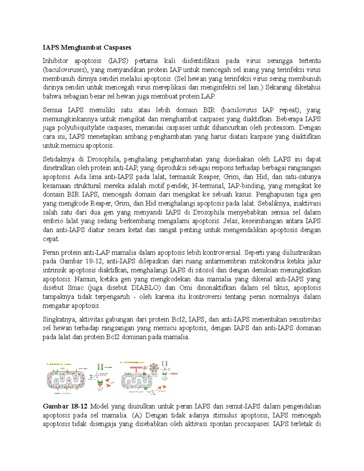 Jalur Intrinsik Apoptosis Bergantung pada Mitokondria IAPS Menghambat