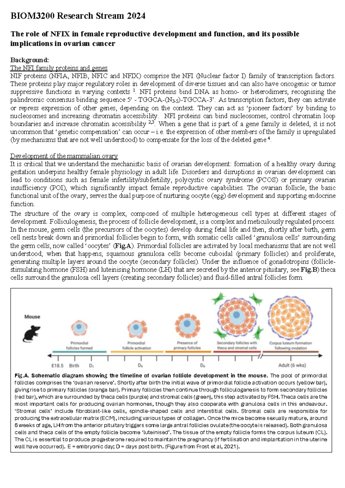 BIOM3200 Research Stream 2024 Exemplar - BIOM3200 Research Stream 2024 ...