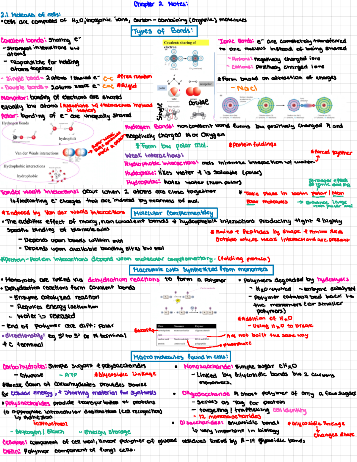 Biology 315 - Unit notes 1-2, lecture and textbook notes - Chapter 2 ...