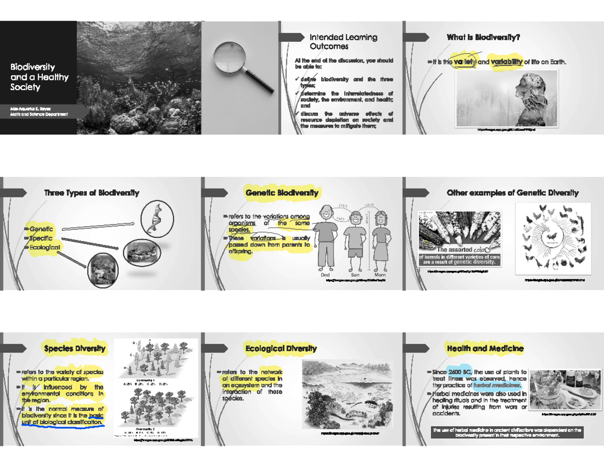 Biodiversity - Education - Studocu