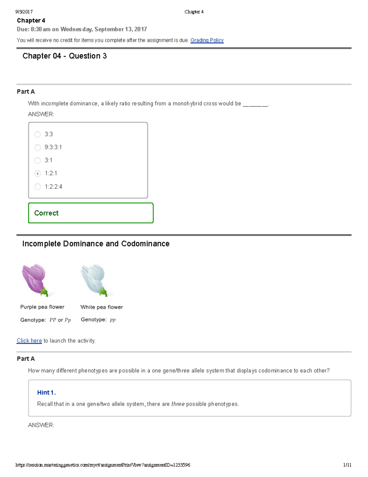 Assignment help tutors picture