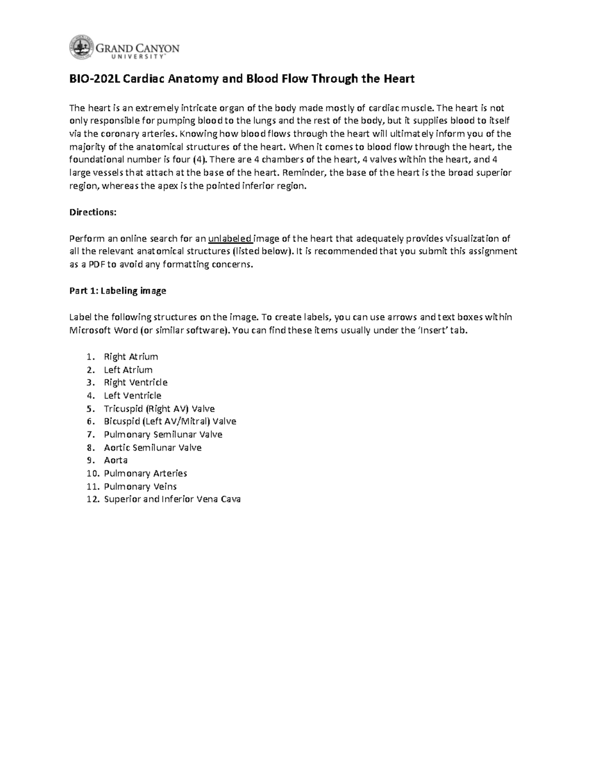 BIO-202L Activity 1 P2 - Lab - BIO-202L Cardiac Anatomy And Blood Flow ...