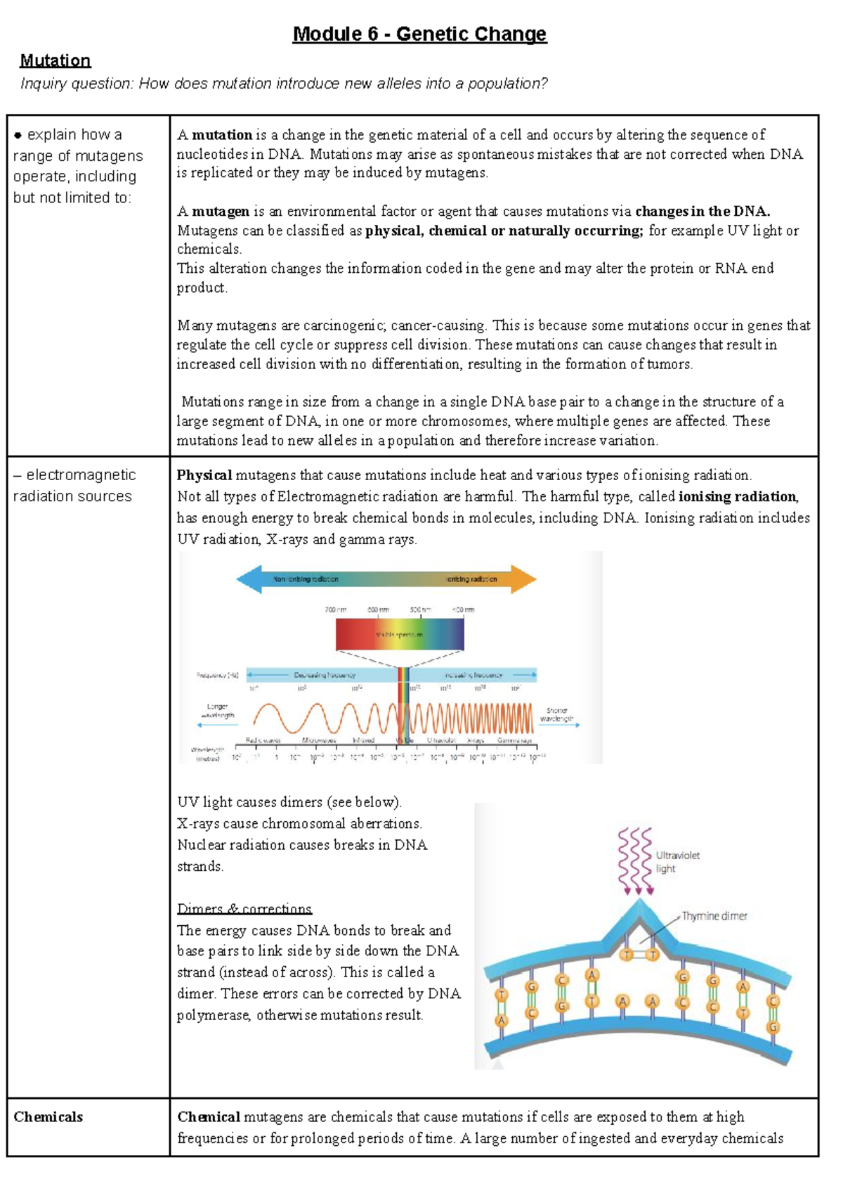 Module 6 - Genetic Change - Module 6 - Genetic Change Mutation Inquiry ...