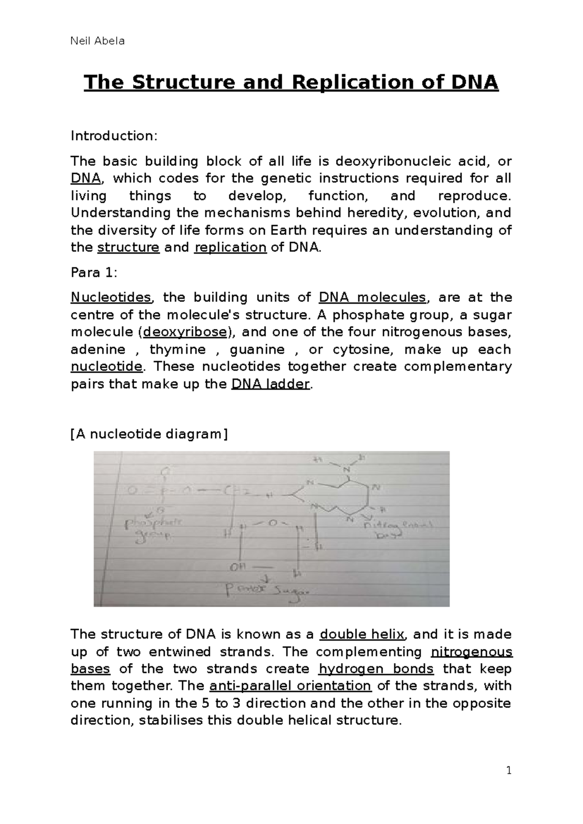 write an essay on dna technology